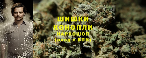 дживик Аркадак
