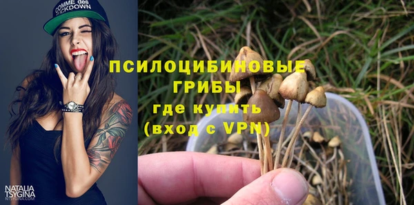а пвп мука Армянск