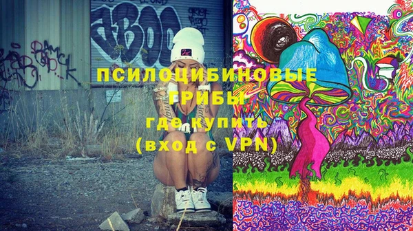 дживик Аркадак