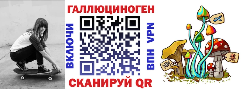 Галлюциногенные грибы MAGIC MUSHROOMS  где найти наркотики  Сальск 